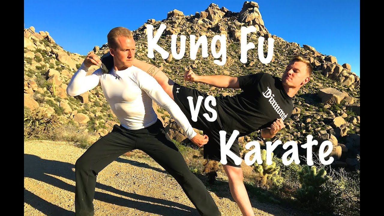 what is kung fu